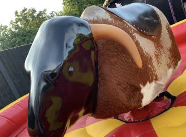Rodeo Bull Hire