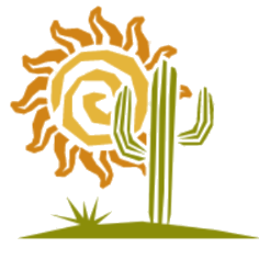 DSM Logo