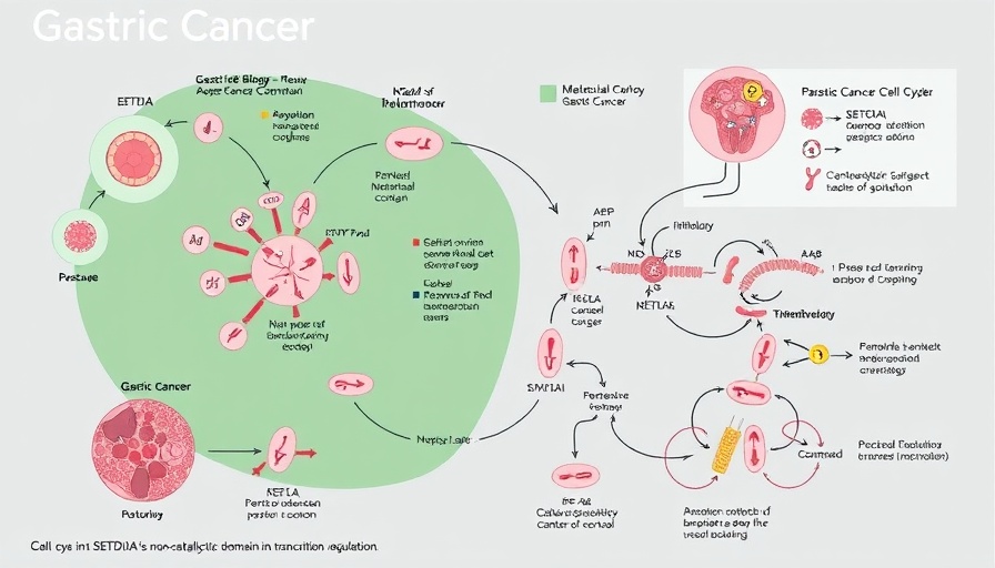 Diagram of SETD1A's role in gastric cancer highlighting non-catalytic effects.