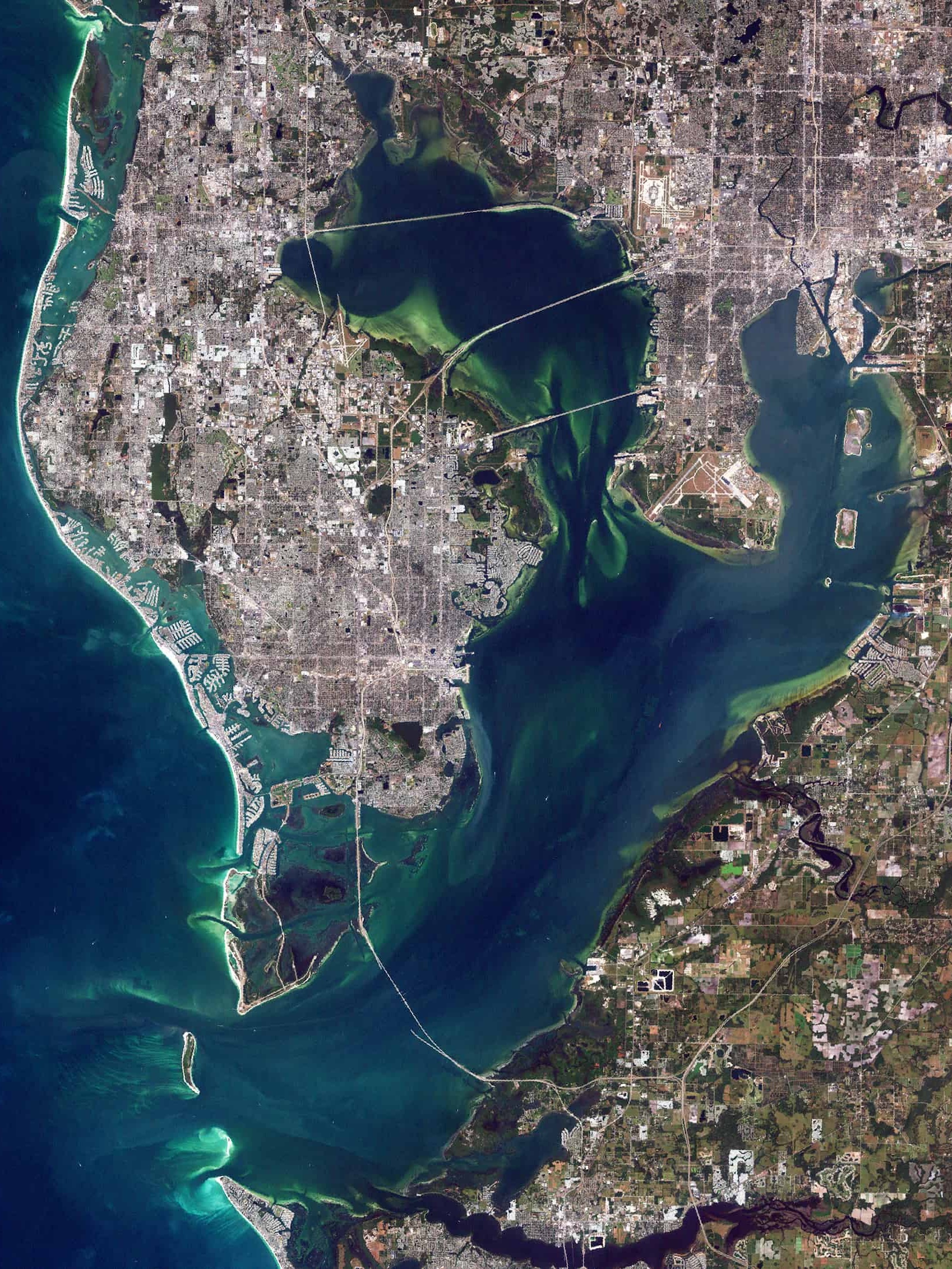Tampa Bay Sightseeing Tours