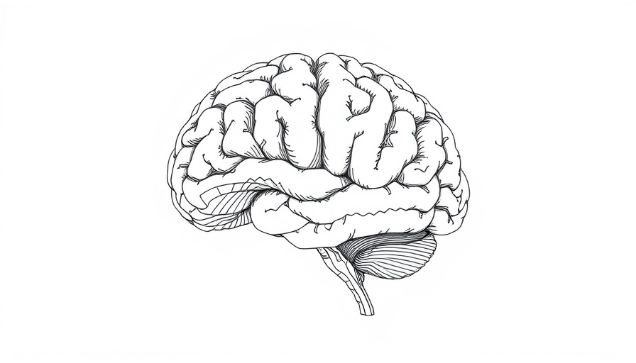 Intricate brain line art depicting visual cortex perception adaptation.