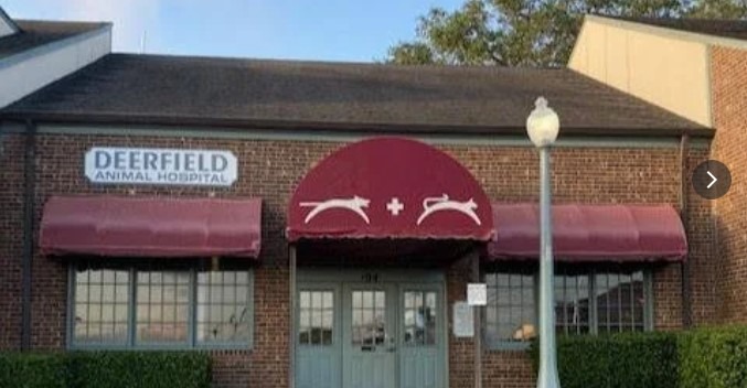 Deerfield Animal Hospital in San Antonio TX