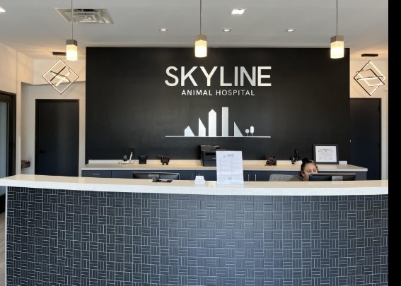 Skyline Animal Hospital minimalist logo with sleek skyline icon on white background
