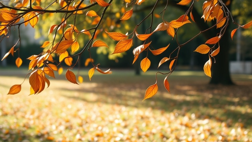 Leaves blowing in San Antonio, showcasing seasonal change and cold front prediction.
