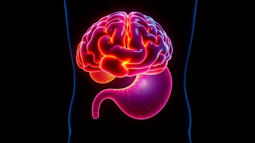 Vibrant holographic brain and stomach, showcasing healthy aging lifestyle and gut health diet.