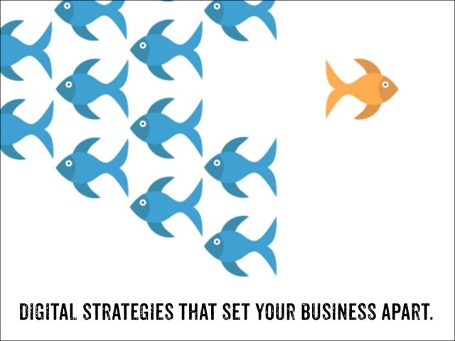 NetCentricity has the digital marketing strategies that will set your business apart.