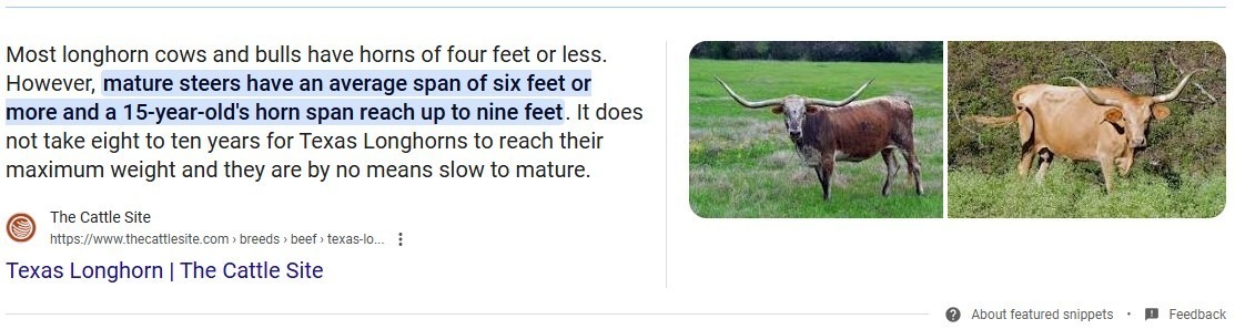 Example of a featured snippet on Google.
