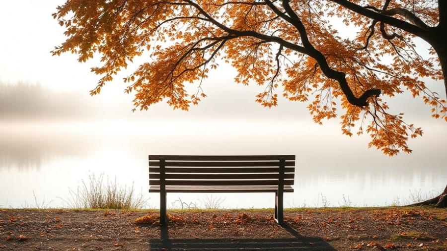 Tranquil lakeside bench under tree, evoking second chances in life.