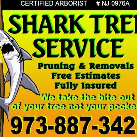 Shark Tree Service Morris, Sussex & Warren County