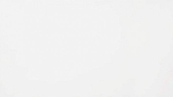 Curtis Joseph NHL career visual placeholder.