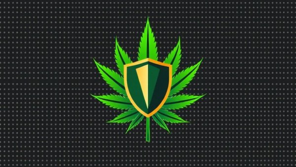 Stylized cannabis leaf logo, South Africa cannabis economy reform.