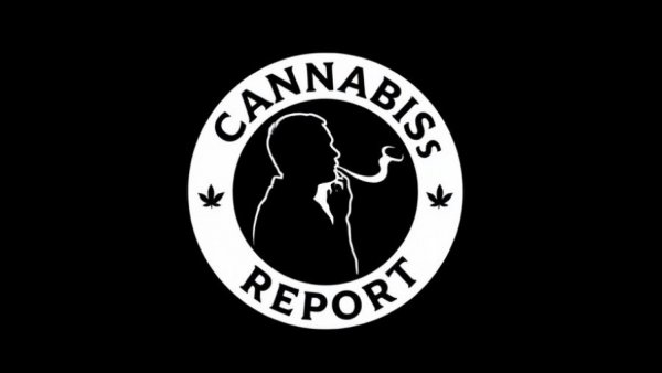 Monochrome logo depicting cannabis law report with a smoking silhouette.