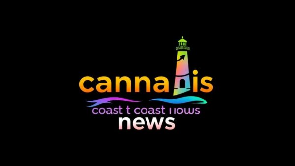 International Cannabis Reports vibrant news logo on black background