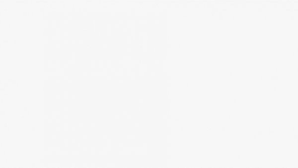 Saskatoon lawyer Morris Bodnar blank white image