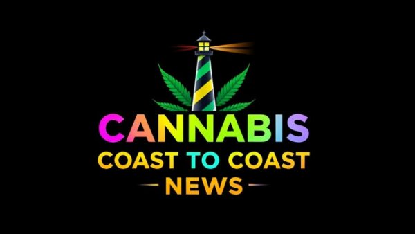 Vibrant cannabis industry insights logo with lighthouse and colorful text.