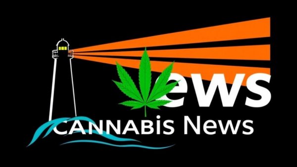 Vibrant cannabis industry logo with lighthouse and leaf