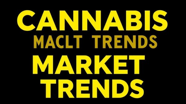 Spring 2026 cannabis industry recovery insights in bold typography.