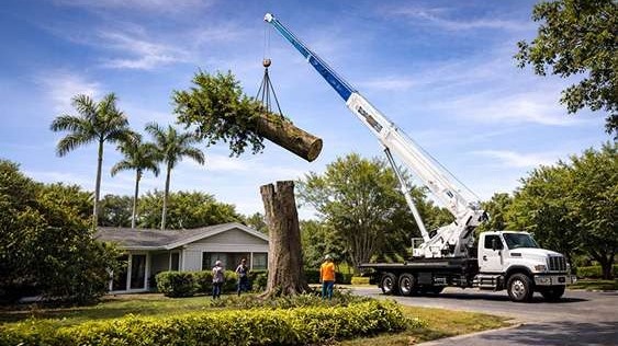 Crane-assisted tree removal lifting a large tree section over a Las Vegas home to ensure safe and controlled removal near structures