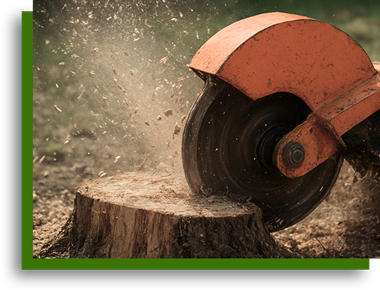 Efficient stump removal using grinder by Vegas Tree Pros in Las Vegas NV