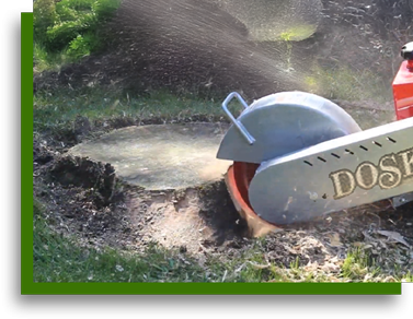 Powerful stump grinder machine used by Vegas Tree Pros