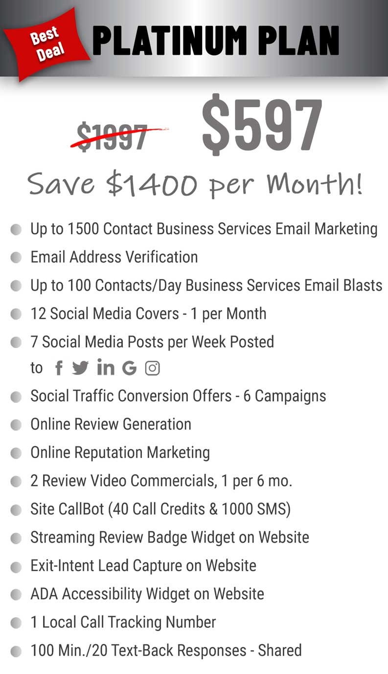 platinum plan $597 per month pricing and features for business services.