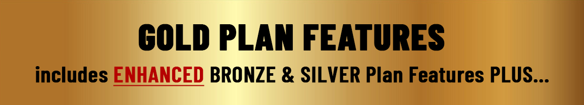 Gold Plan Features Header