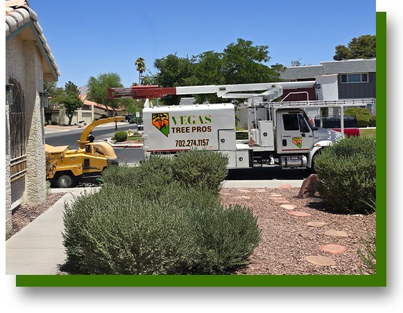 Vegas Tree Pros truck and wood chipper at job site in Las Vegas NV