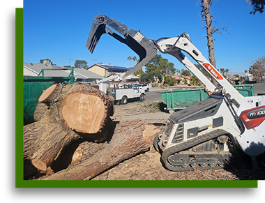 Claw bobcat equipment moving multiple removed tree trunk sections from residential homesite in Las Vegas NV 