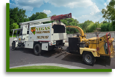 Contact Vegas Tree Pros for trusted tree services in Las Vegas, Henderson & Boulder City NV