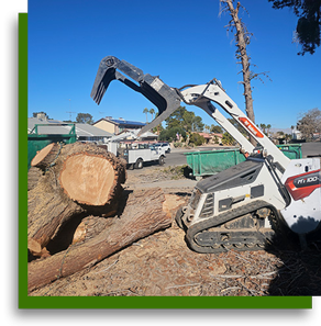 Vegas Tree Pros using claw bobcat equipment to move a large tree trunk in Las Vegas NV