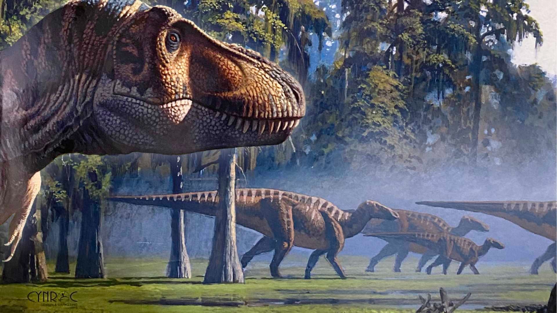 Presentation: Terrible T-Rex: Lifestyles of a Mesozoic Legend