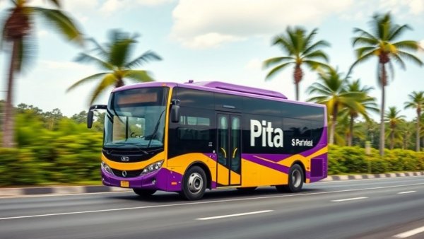 Cabo airport transportation: vibrant bus on a sunny road