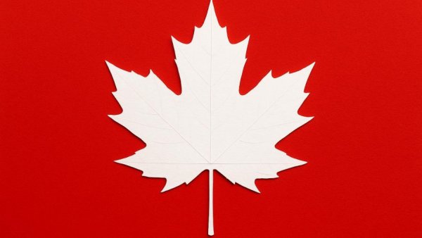 White maple leaf on red background symbolizing Procter & Gamble Baby Care Challenges.