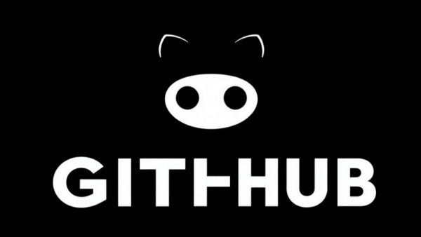 Minimalistic GitHub logo representing a data breach theme