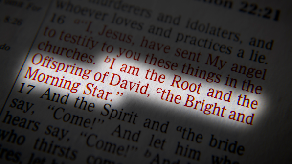 I am the root of David