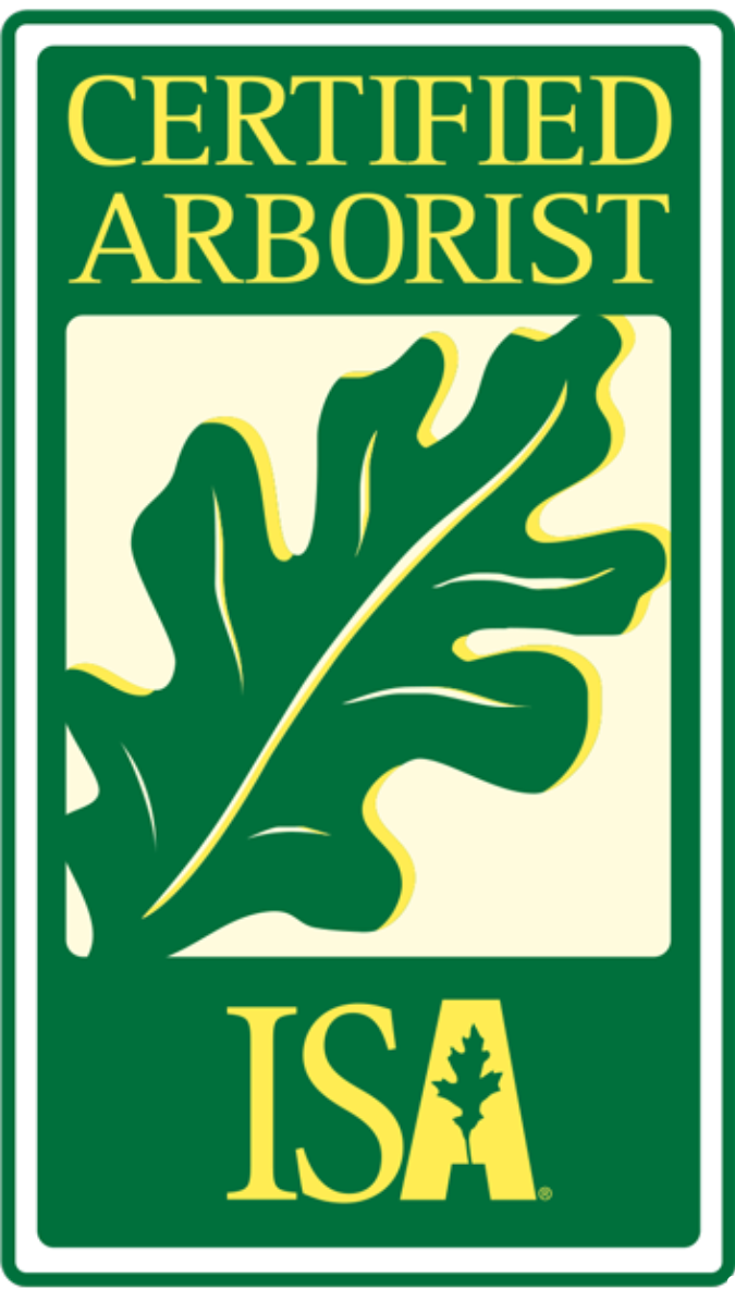 ISA Certified Arborist certification badge