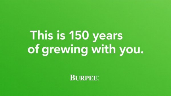 2026 Burpee Catalog cover: 150 years message on green.