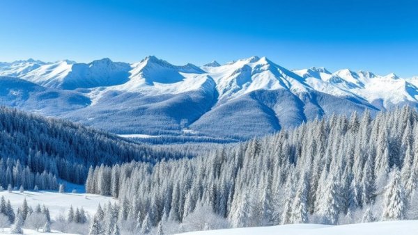 Snowy mountain in British Columbia with dense forest, clear sky.