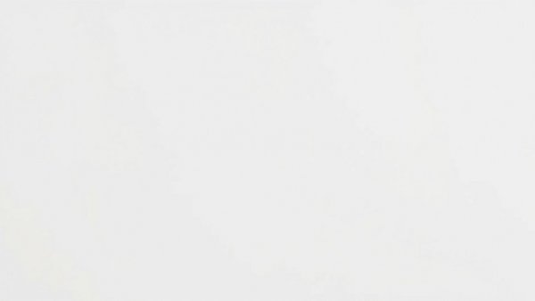 Blank white image with a minimalist design.