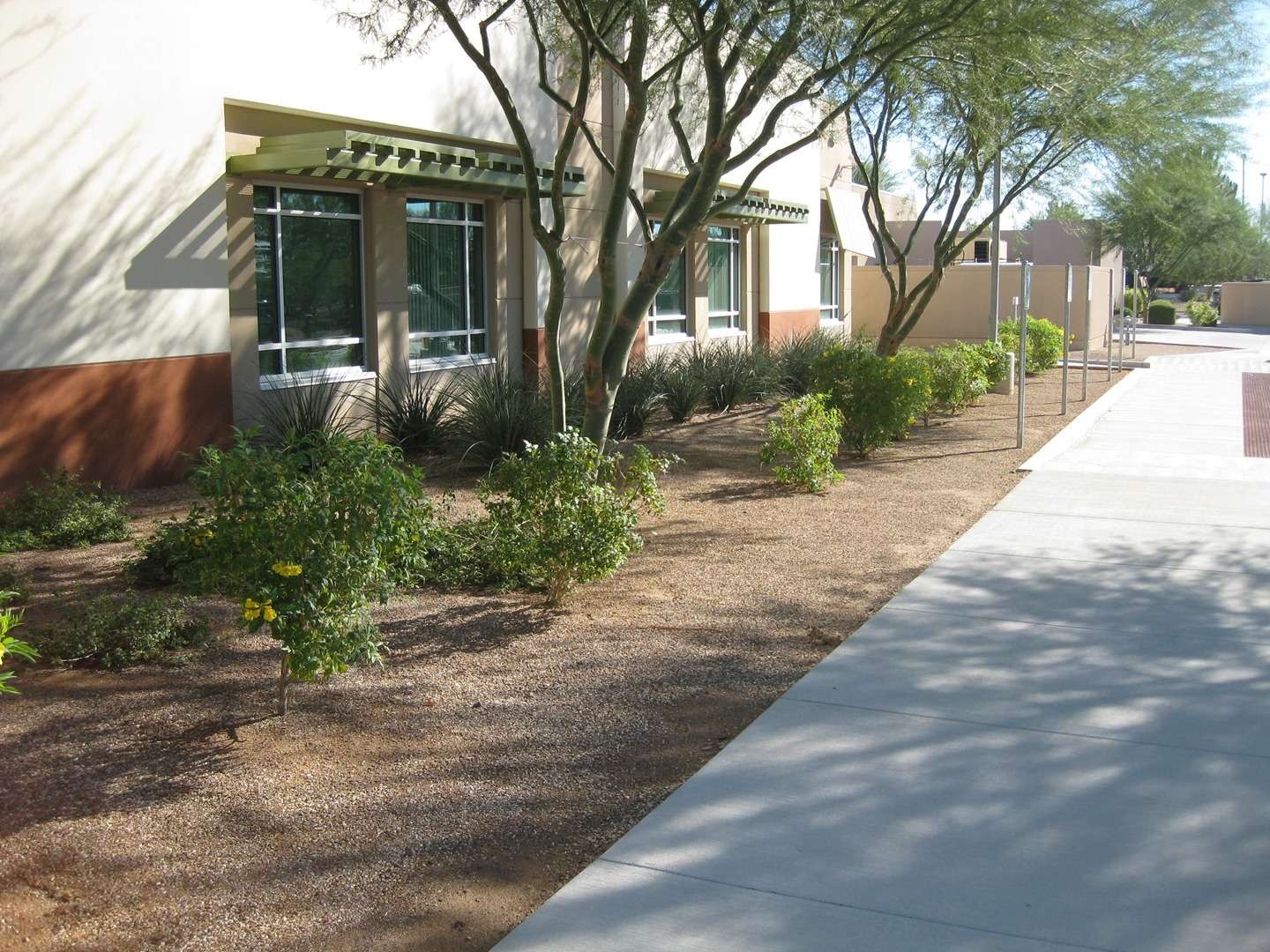 Expert landscape maintenance with workers trimming shrubs at a vibrant Arizona location.