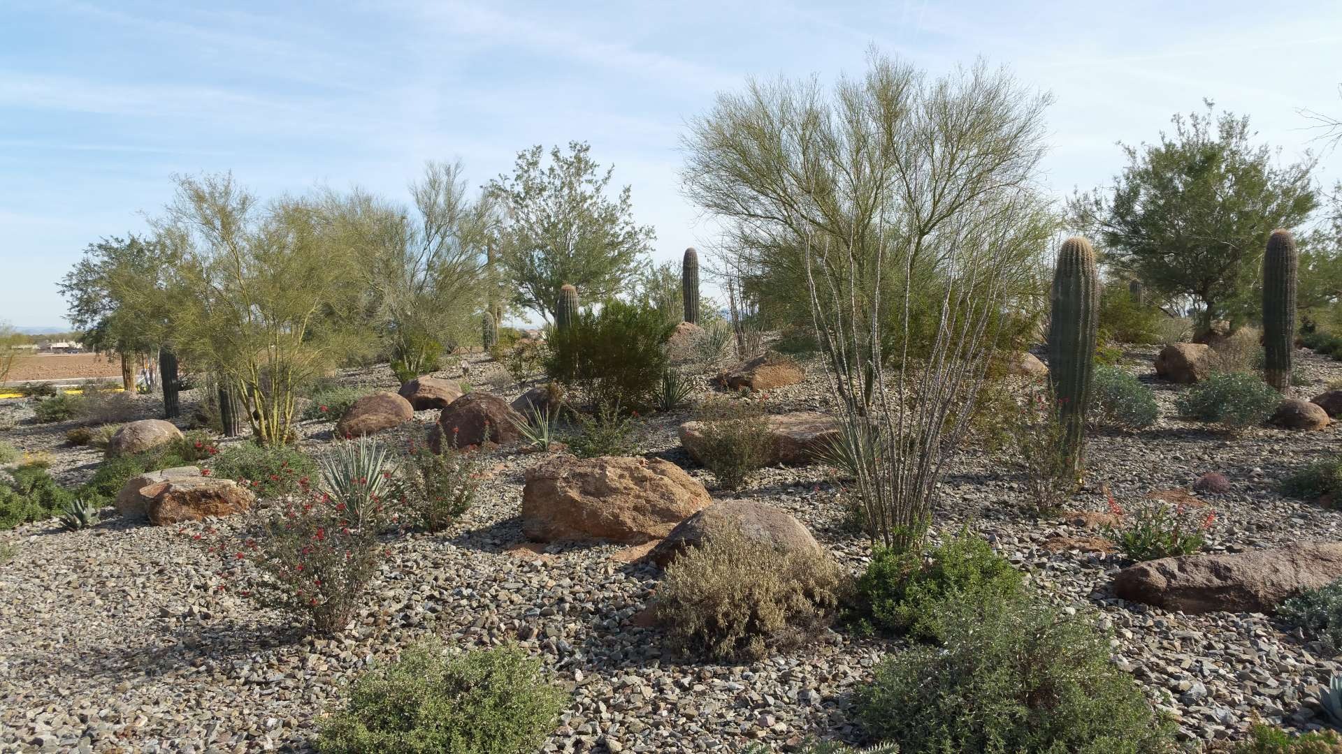 harmonious landscaping indigenous, tranquil expression, growing, photorealistic, a large public park with walking paths, highly detailed, people jogging, aeria Photography, mixed shades of green, mid-day light, shot with a wide-angle lens.