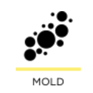 Mold-Remediation-Services-Memphis-TN