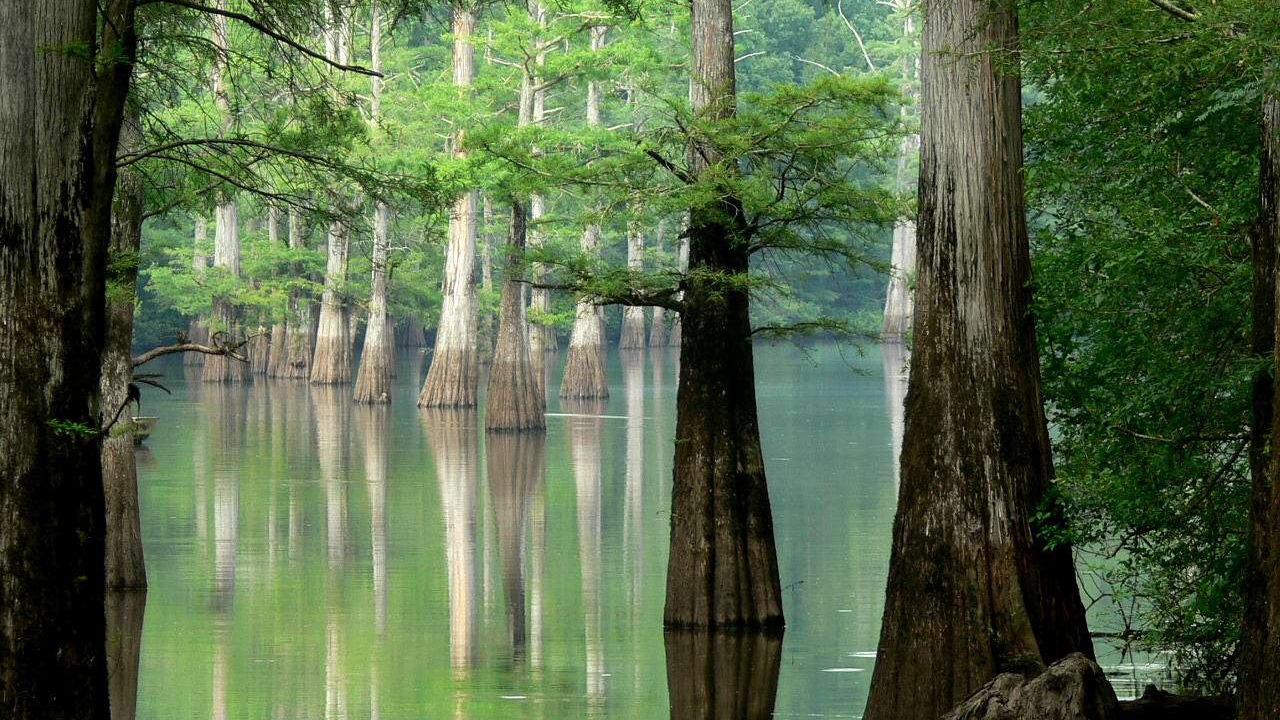 Fishing on the White River from an overhead view boat scene.