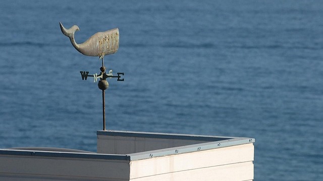 Crowd walking in busy street for National Weatherperson's Day.