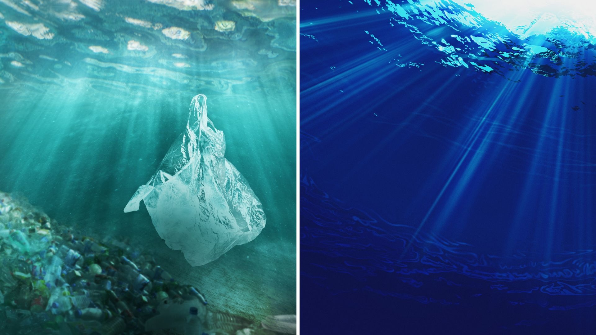 Contrasting future environmental scenarios with waste and ocean, national park system in China.