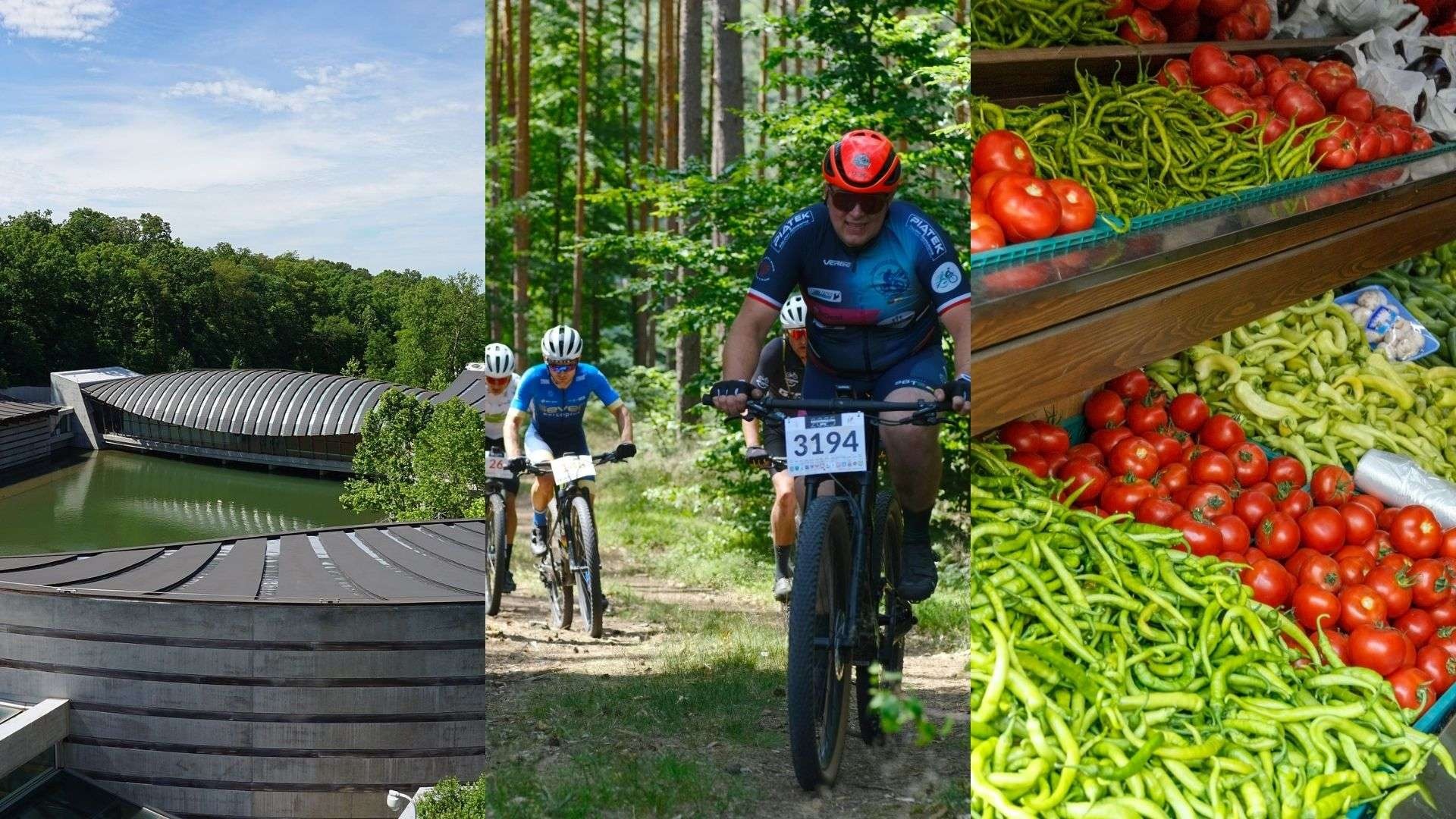 Videos of Best Things To Do in Bentonville, Rogers & Fayetteville