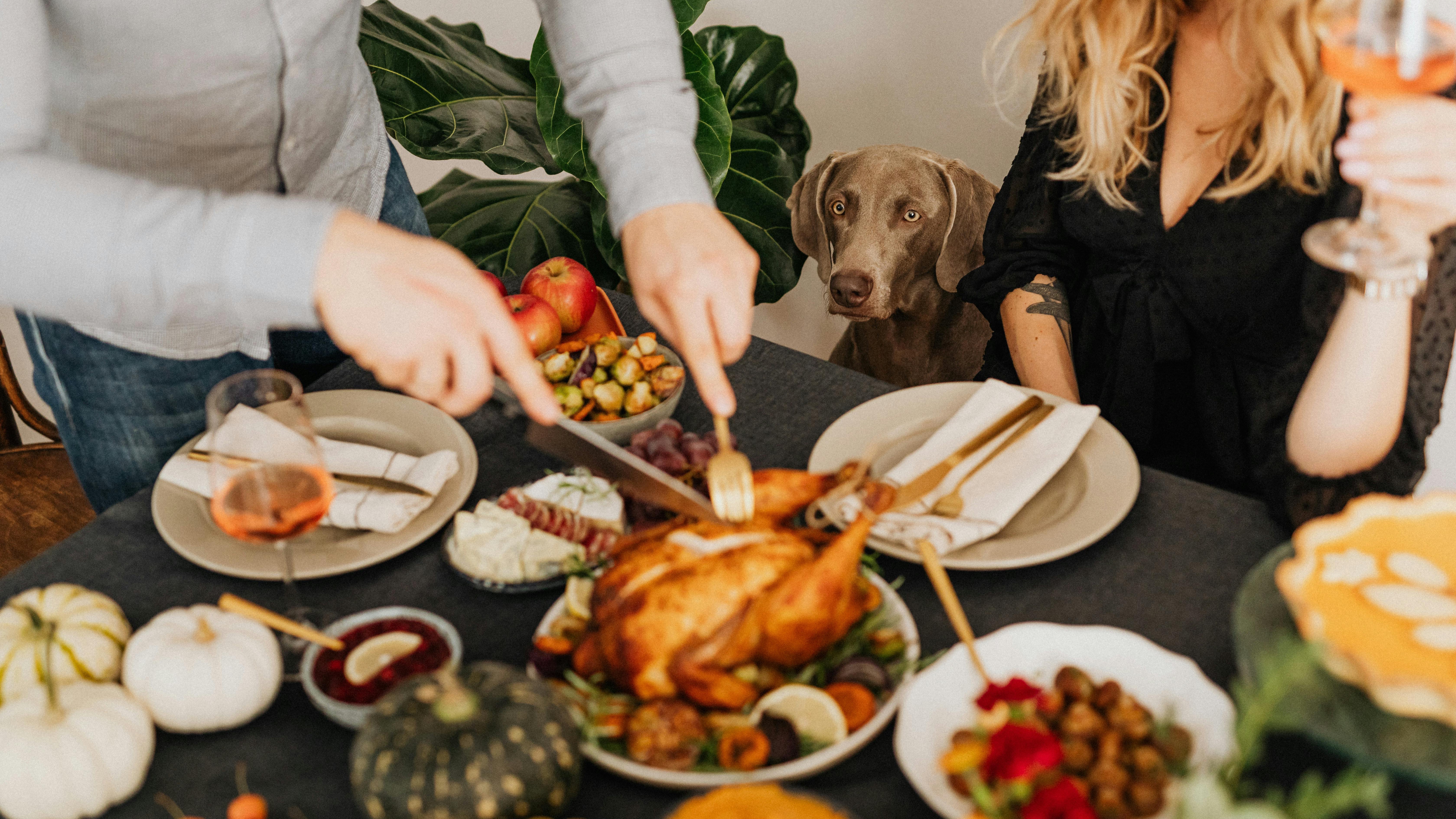 Podcast recording in a downtown Rogers restaurant during a weekend.
