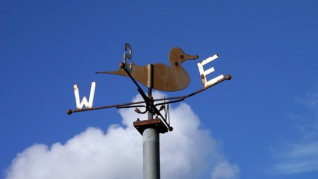 Meteorologist presenting cooler weekend weather forecast with temperature map.