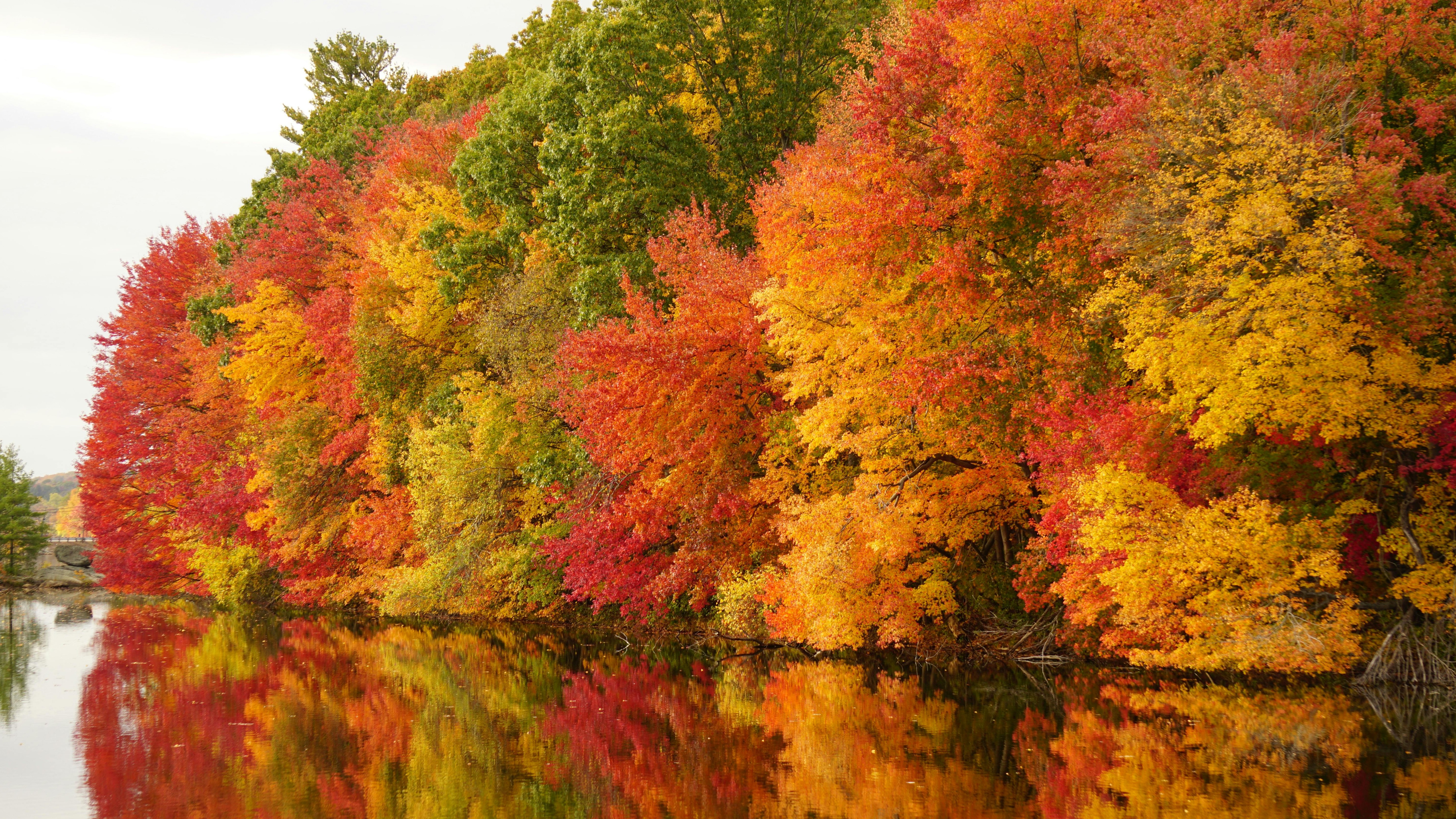 Bold graphic asking 'Why is Fall Awesome in NWA?' with vibrant design.