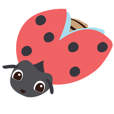 vector graphic - happy ladybug